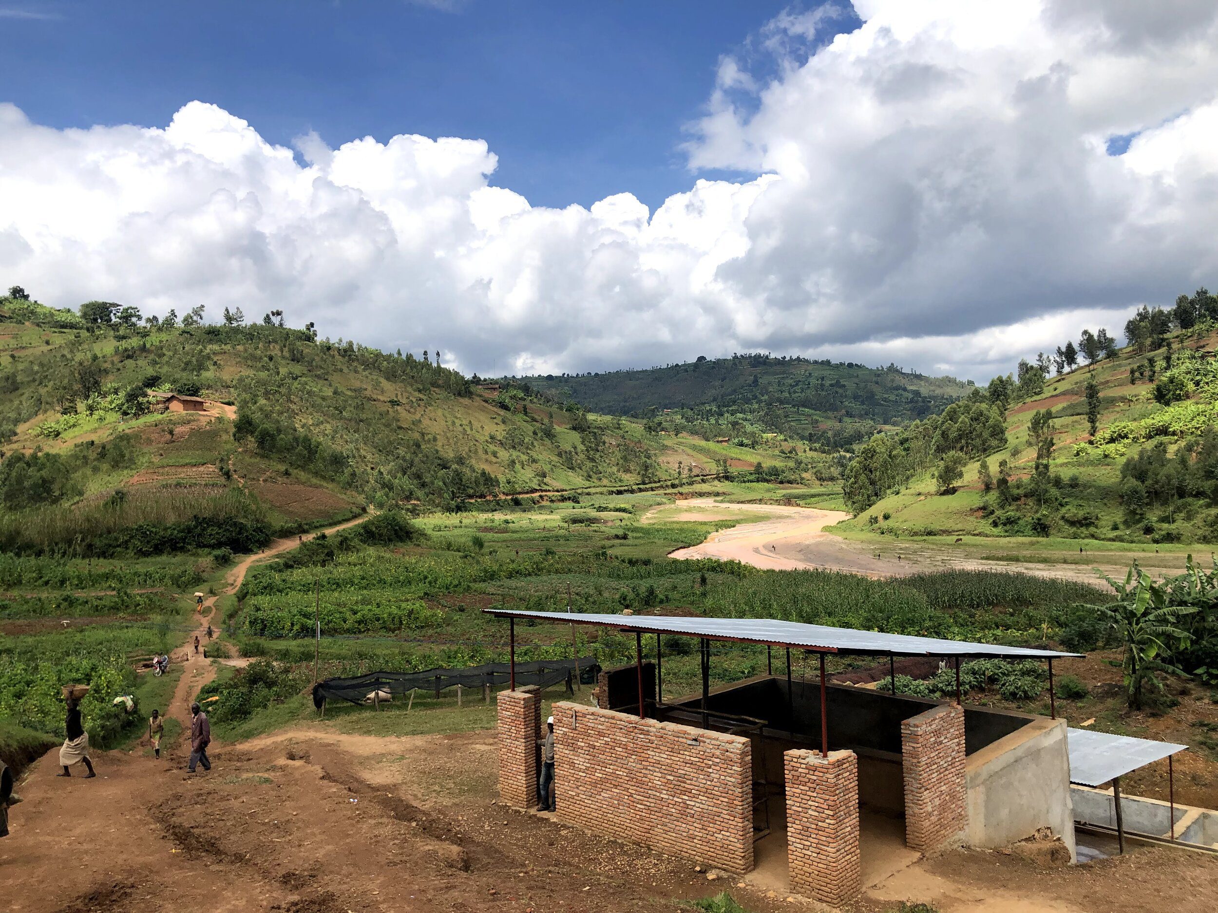 Neuester SEASONAL Burundi Izuba Washed – Bild 4