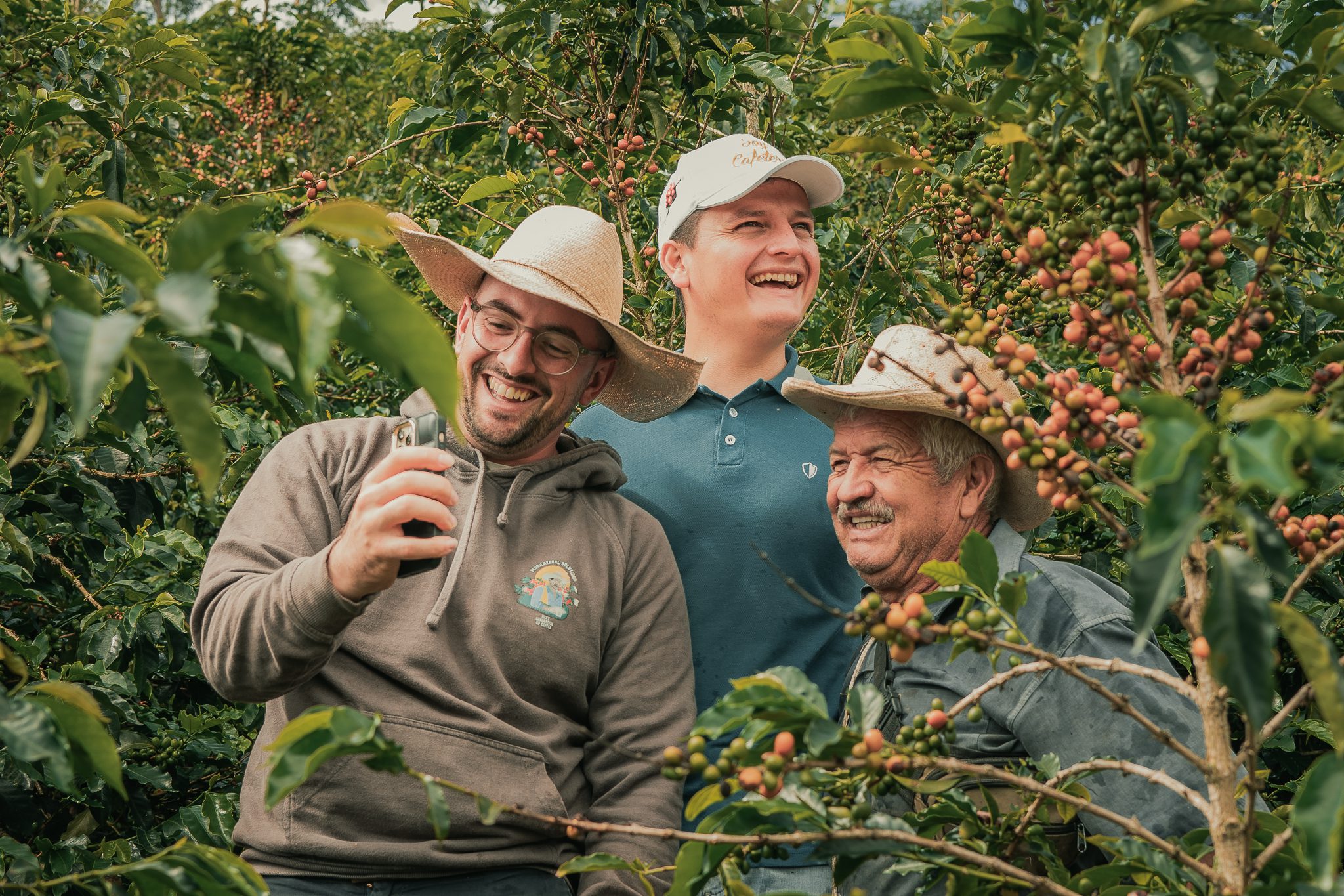 Fred von Plurilateral, Diomer und Don Alvaro inmitten von Kaffeebäumen
