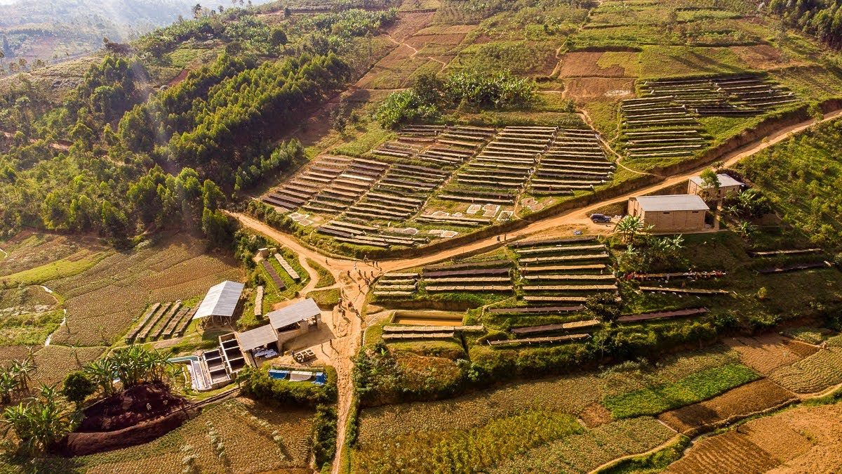 Neuester SEASONAL Burundi Izuba Washed – Bild 6