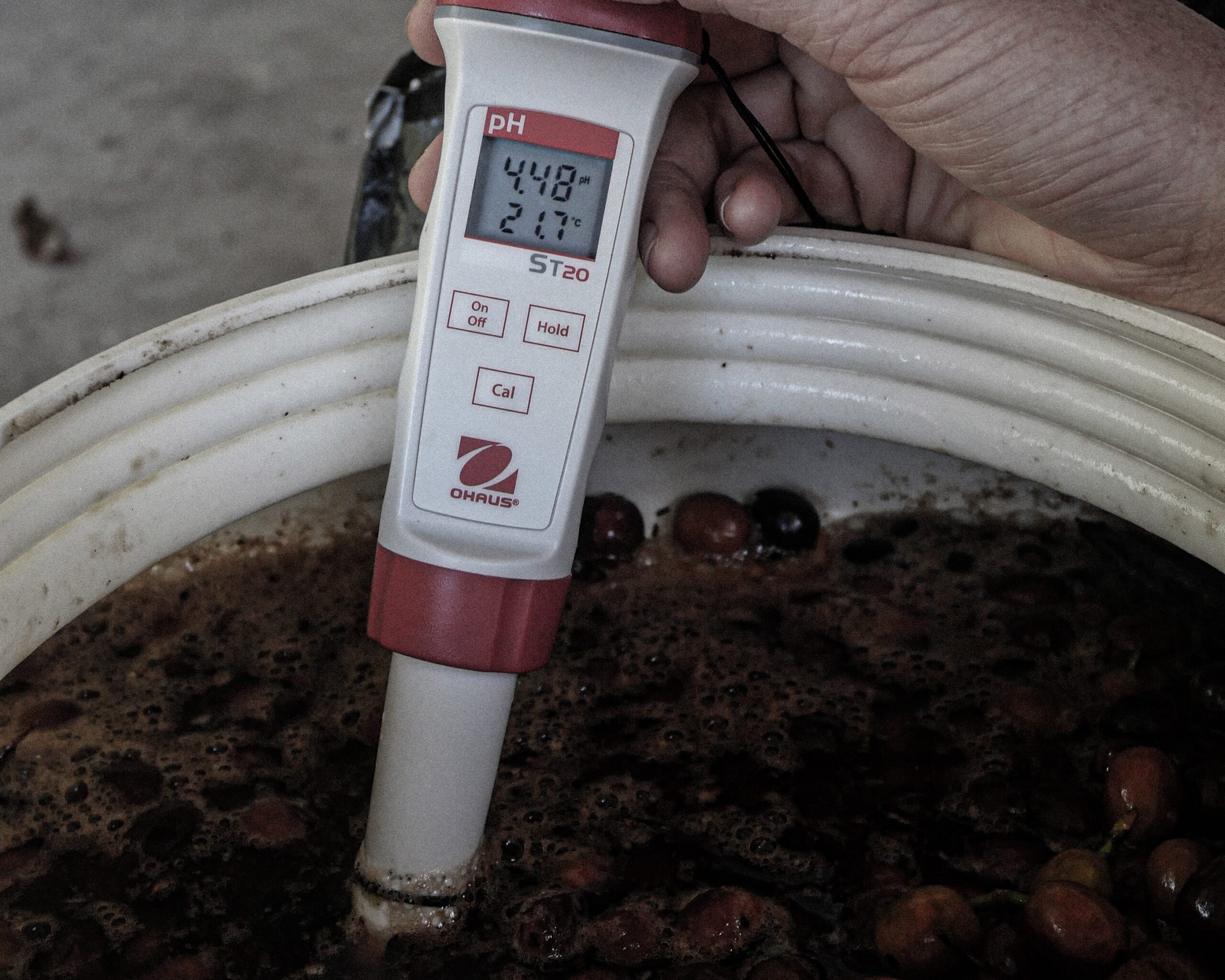Fermentationsfass mit pH-Wert Kontrolle