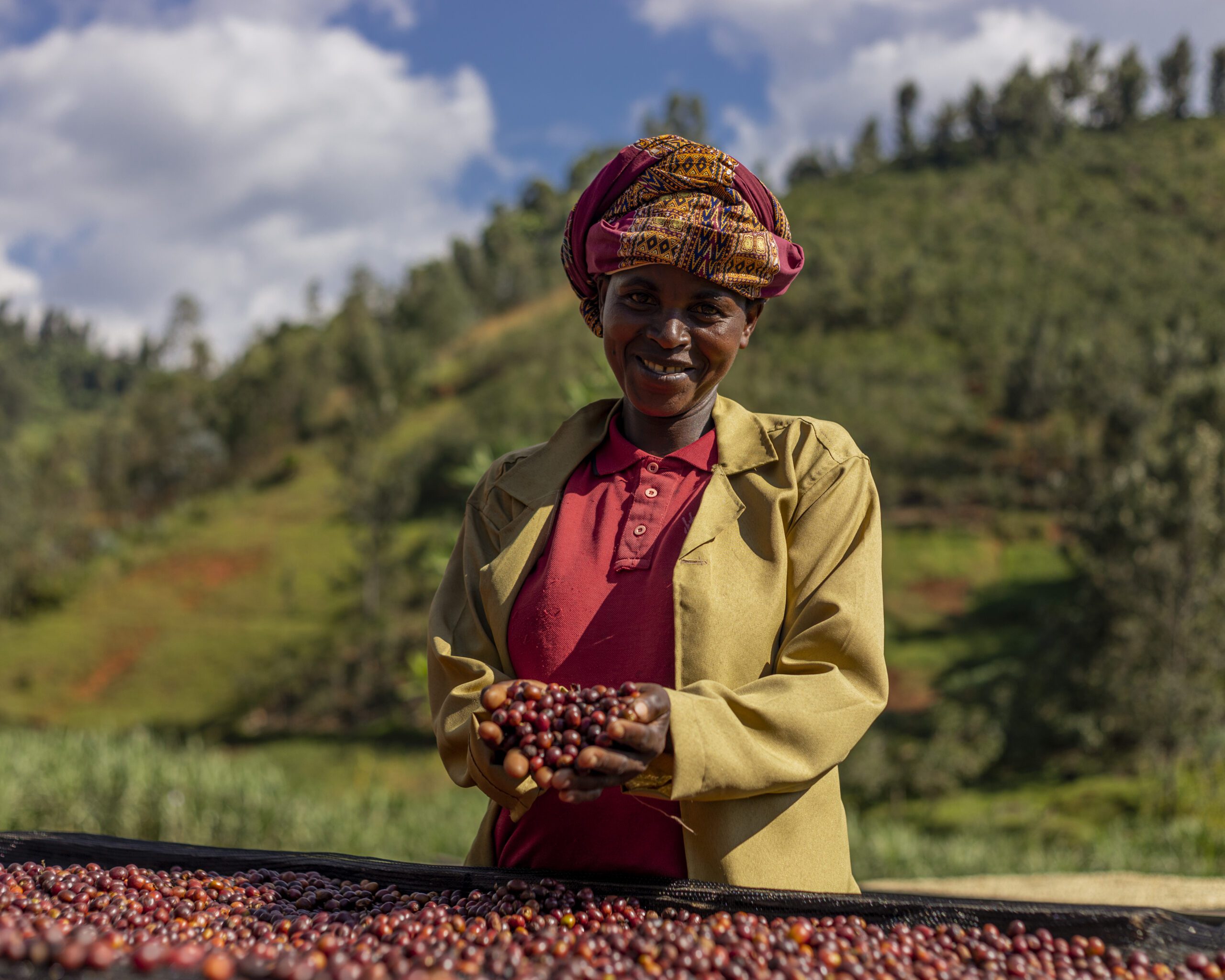 Ausverkauft! Ruanda Gasharu Natural – Bild 3